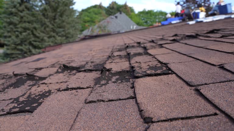 Fast & Reliable Emergency Roof Repairs in Greenfield, MO